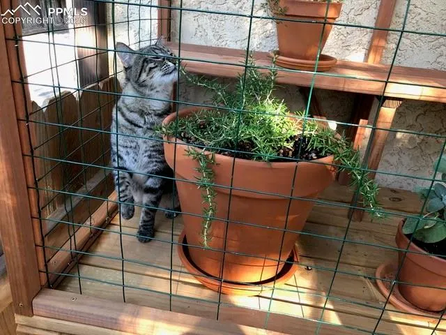 $270,000 | 1295 Vondelpark Drive, Unit A, Colorado Springs, CO 80907