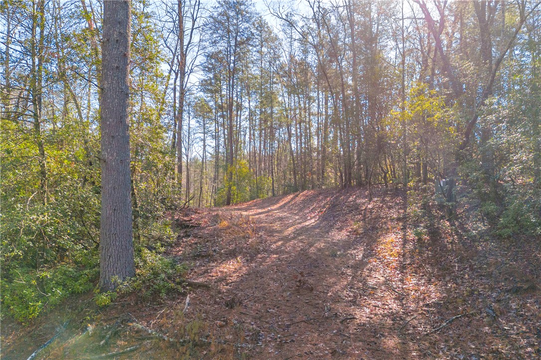 282 Little River Lane Tamassee, SC 29686 - Photo 11 of 40
