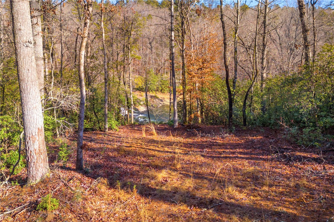 282 Little River Lane Tamassee, SC 29686 - Photo 12 of 40