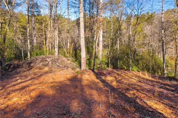 $1,199,000 | 282 Little River Lane, Tamassee, SC 29686