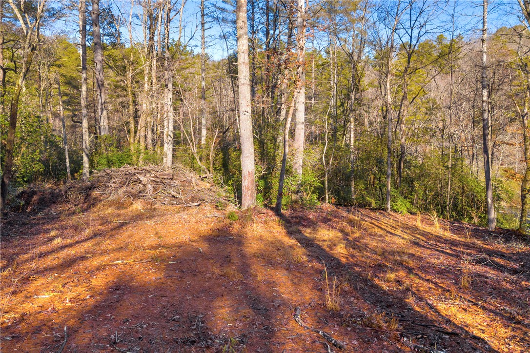 282 Little River Lane Tamassee, SC 29686 - Photo 13 of 40