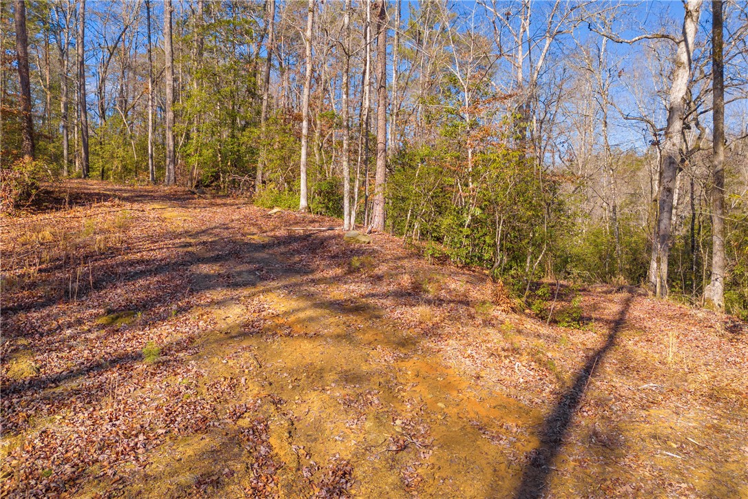 282 Little River Lane Tamassee, SC 29686 - Photo 14 of 40
