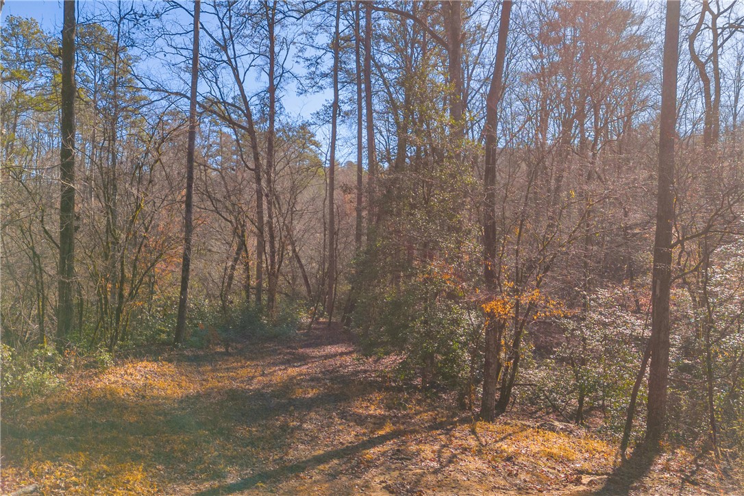 282 Little River Lane Tamassee, SC 29686 - Photo 15 of 40