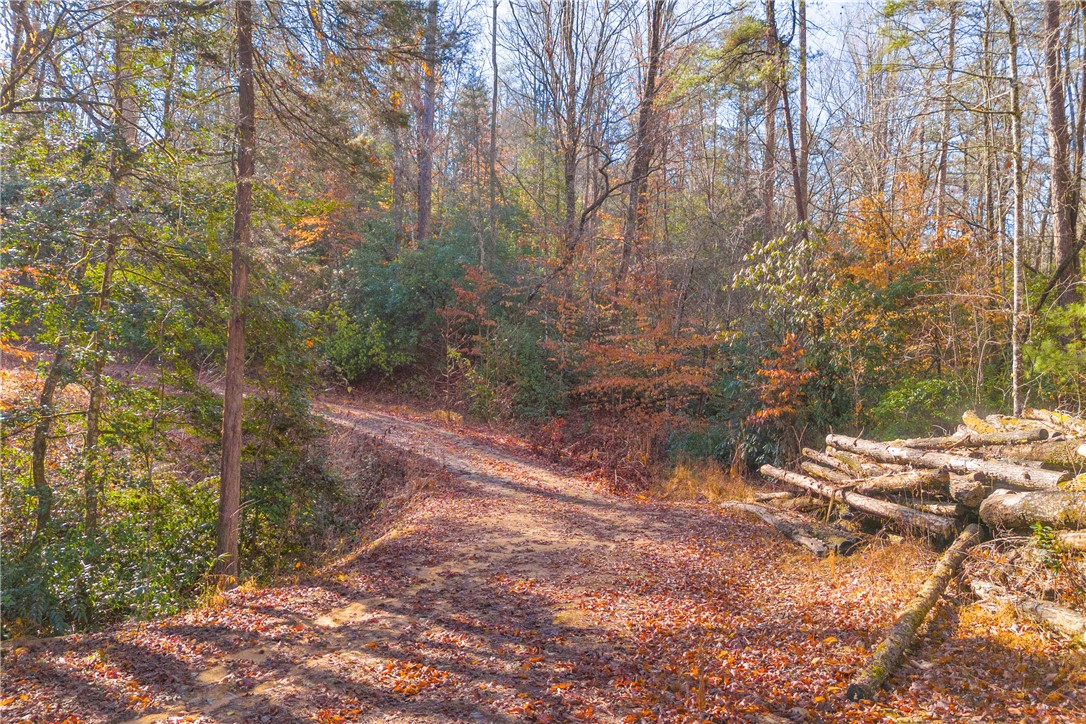 282 Little River Lane Tamassee, SC 29686 - Photo 16 of 40