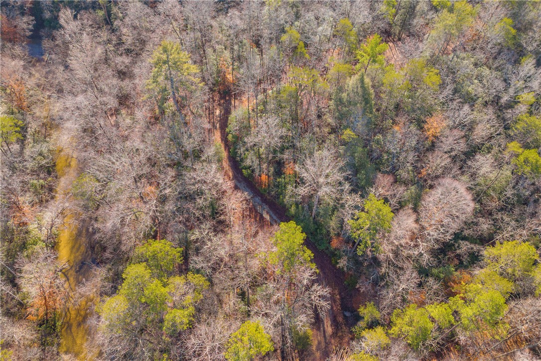 282 Little River Lane Tamassee, SC 29686 - Photo 17 of 40