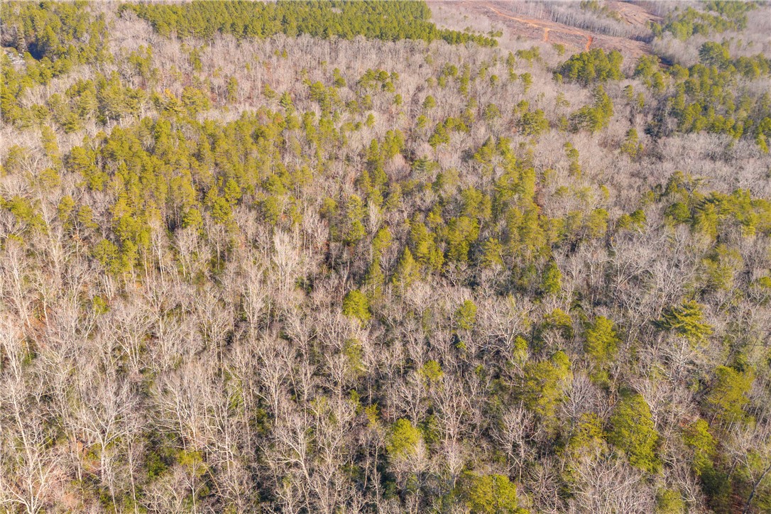 282 Little River Lane Tamassee, SC 29686 - Photo 18 of 40