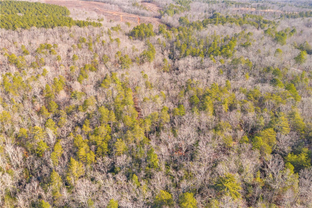 282 Little River Lane Tamassee, SC 29686 - Photo 19 of 40