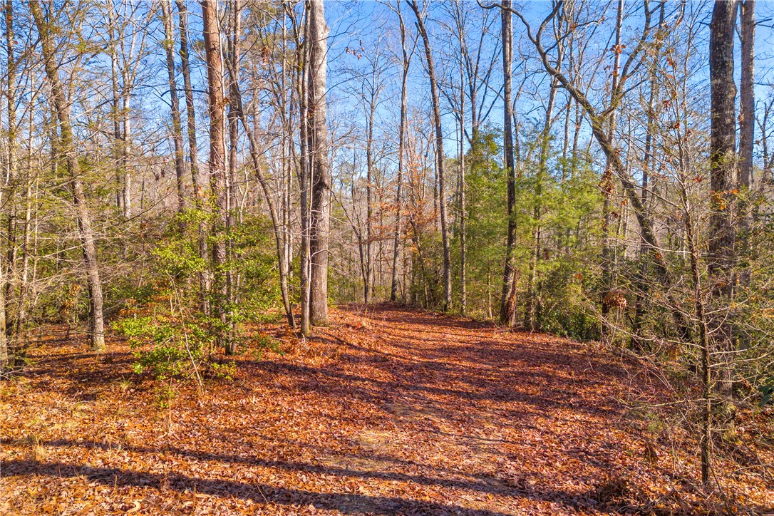 282 Little River Lane Tamassee, SC 29686 - Photo 21 of 40