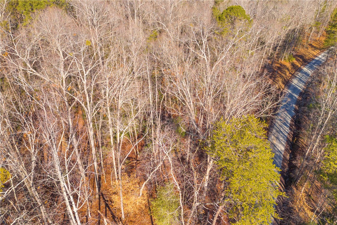 282 Little River Lane Tamassee, SC 29686 - Photo 23 of 40