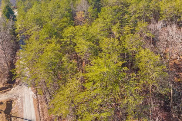 $1,199,000 | 282 Little River Lane, Tamassee, SC 29686