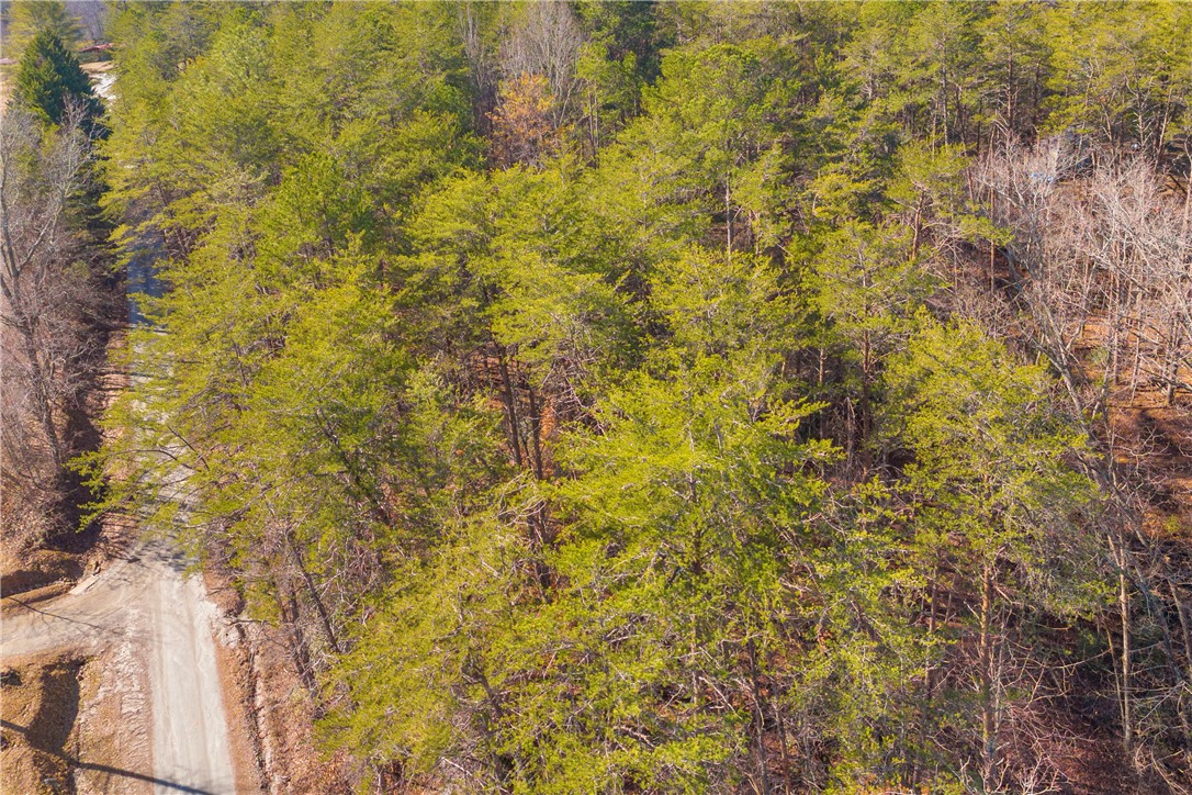 282 Little River Lane Tamassee, SC 29686 - Photo 24 of 40