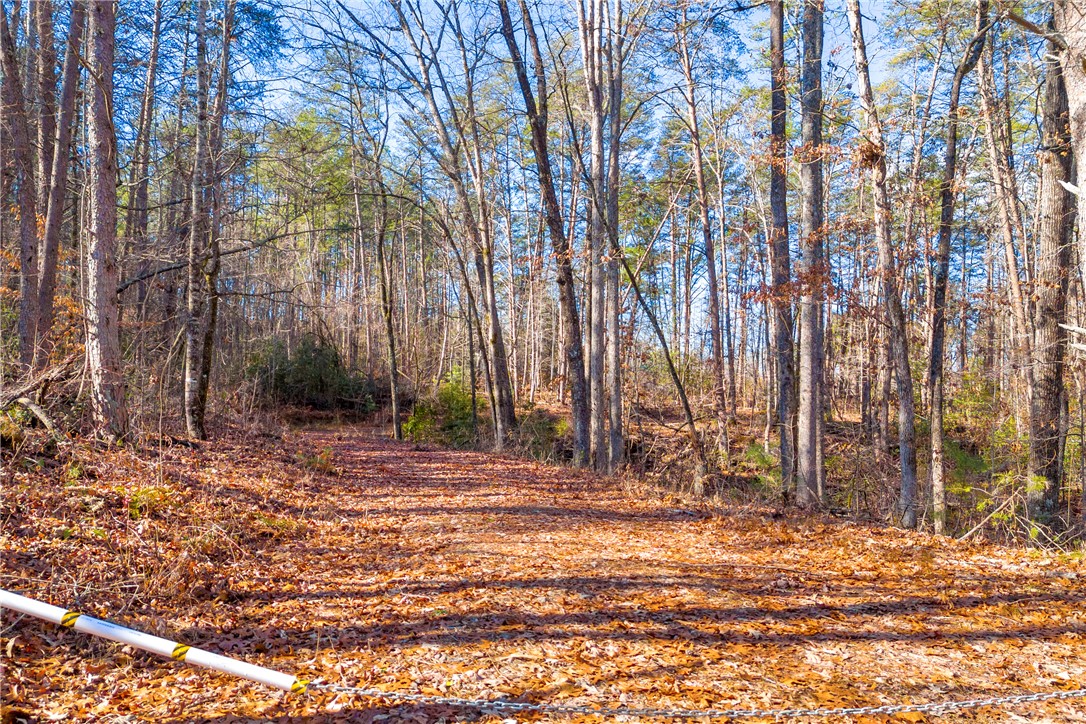 282 Little River Lane Tamassee, SC 29686 - Photo 26 of 40