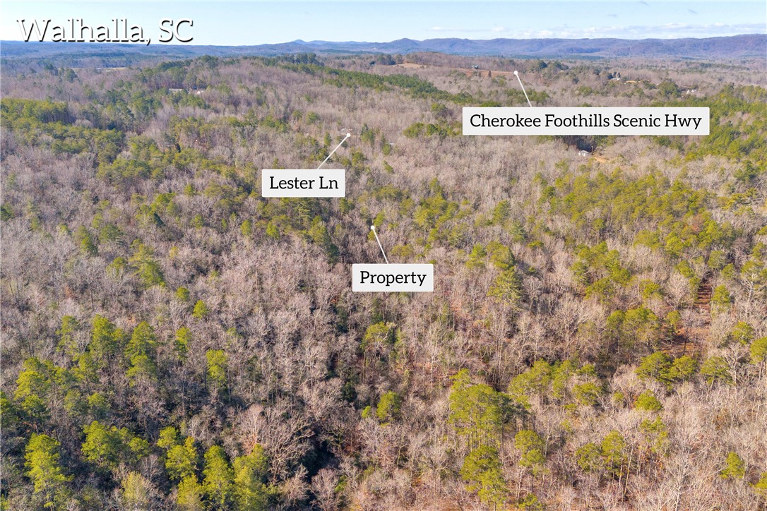 282 Little River Lane Tamassee, SC 29686 - Photo 33 of 40