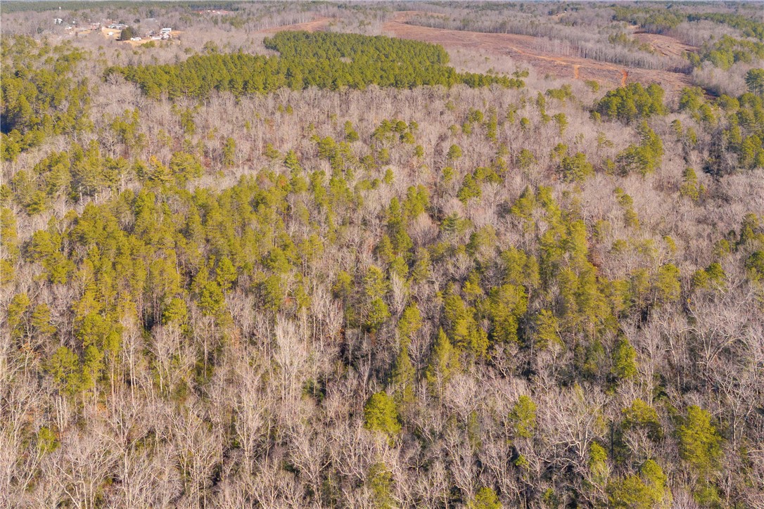 282 Little River Lane Tamassee, SC 29686 - Photo 34 of 40