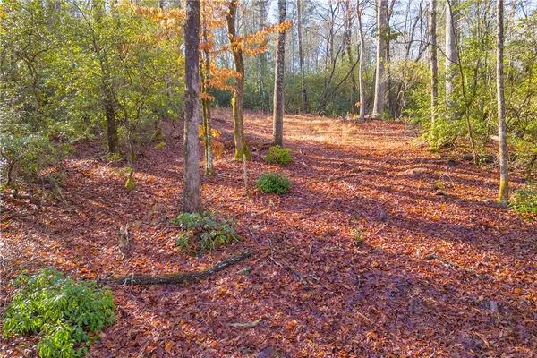 $1,199,000 | 282 Little River Lane, Tamassee, SC 29686