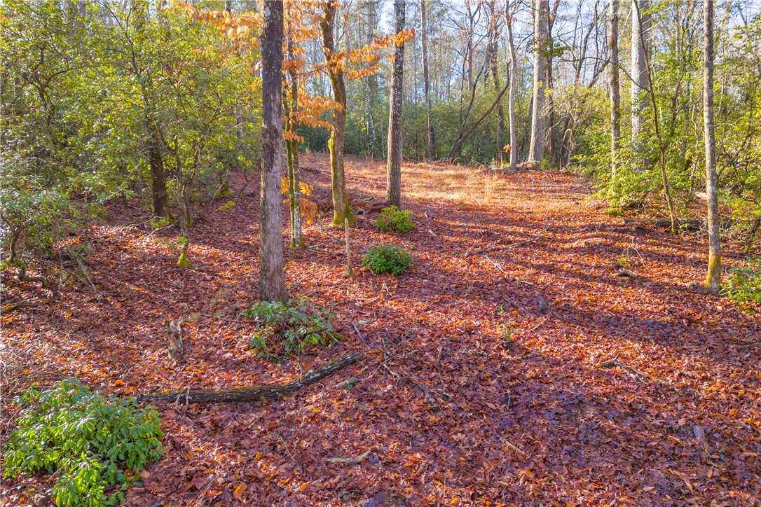 282 Little River Lane Tamassee, SC 29686 - Photo 7 of 40