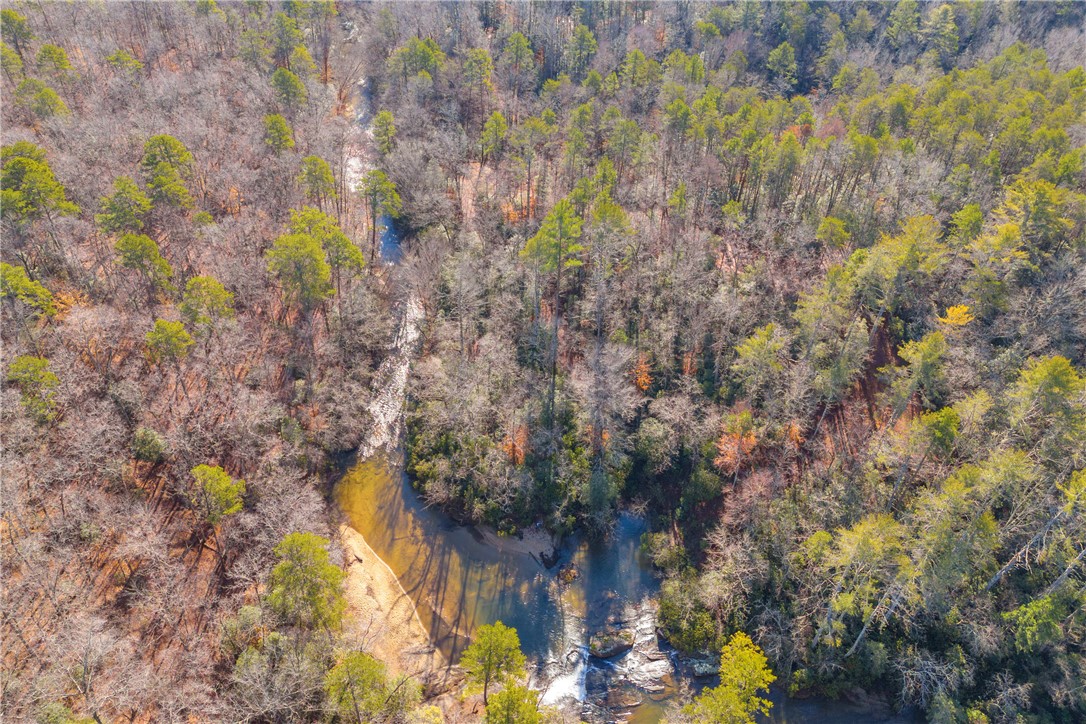 282 Little River Lane Tamassee, SC 29686 - Photo 10 of 40