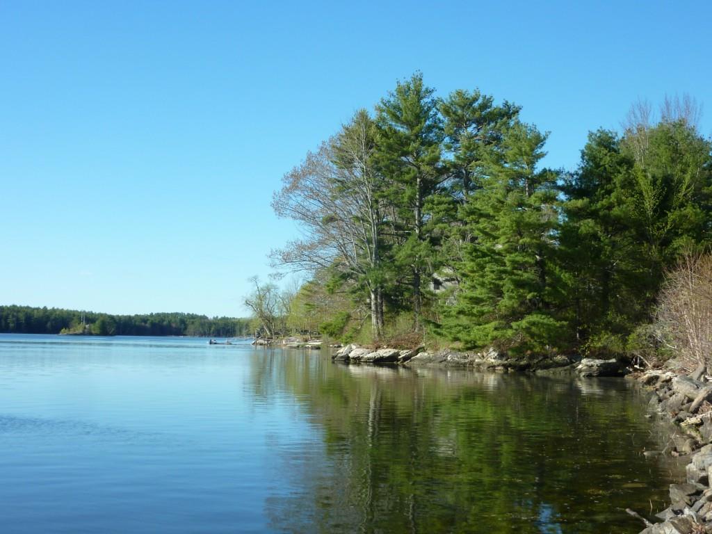 331 Mills / 215 Route North Newcastle, ME 04553 - Photo 13 of 24 The water frontage on Great Salt...
