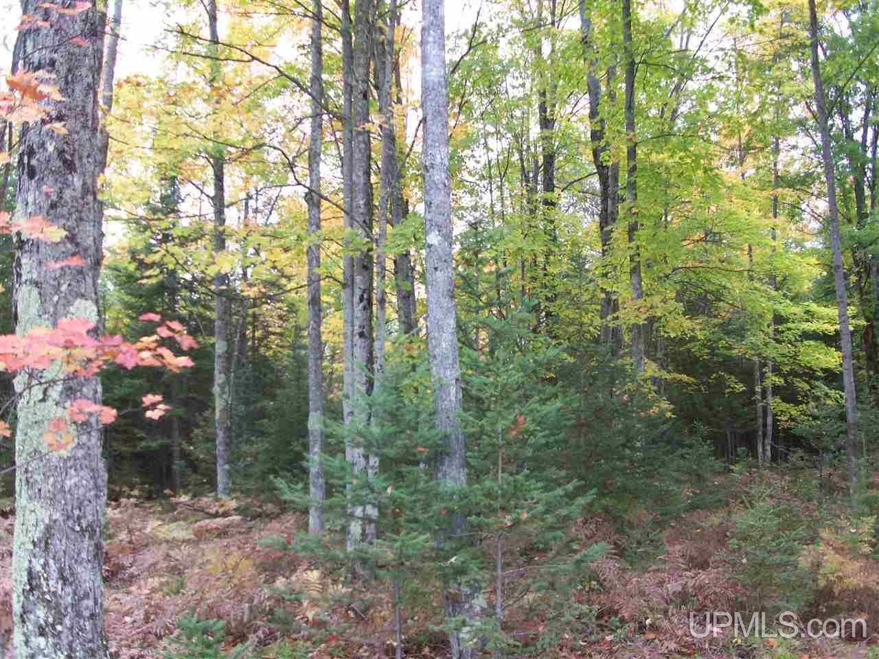 3080 Co Road Cornell, MI 49818 - Photo 12 of 15