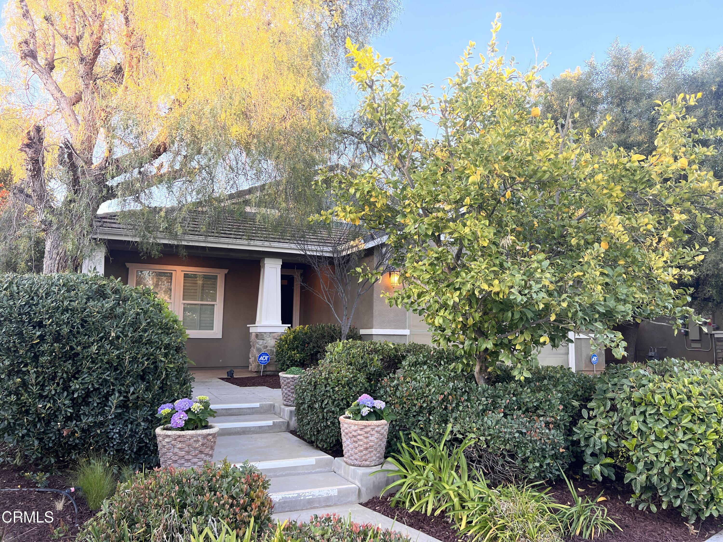 1388 Tulip Cir North  