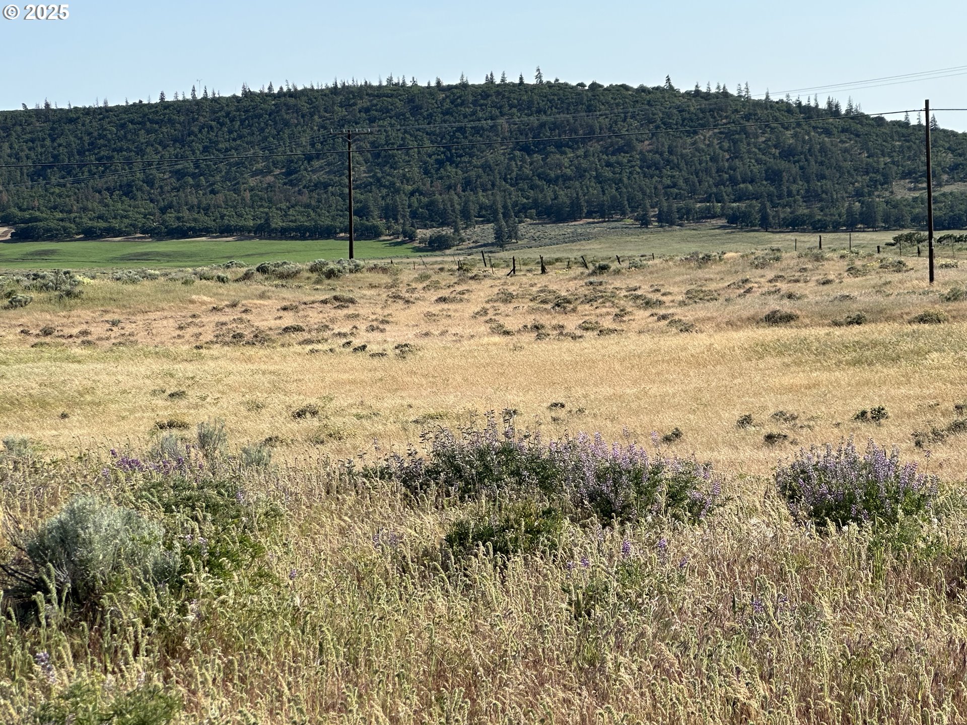 Bickleton Highway, Unit 2 Goldendale, WA 98620 - Photo 11 of 13 a view of a yard