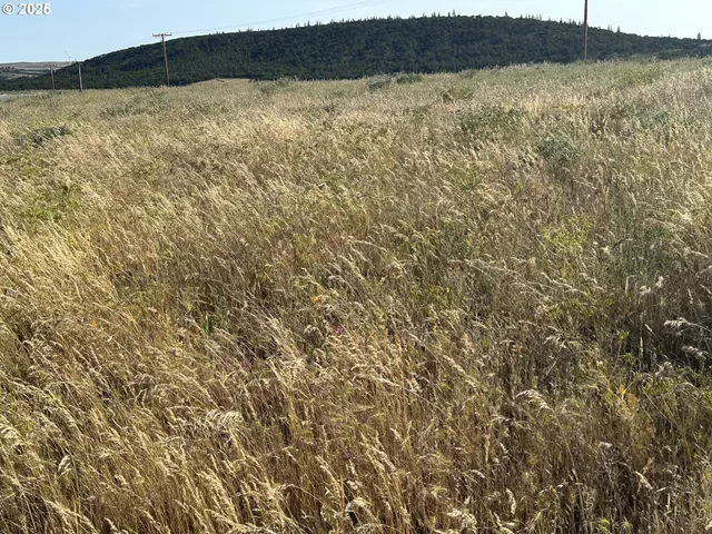 a view of wooden floor and a lake view