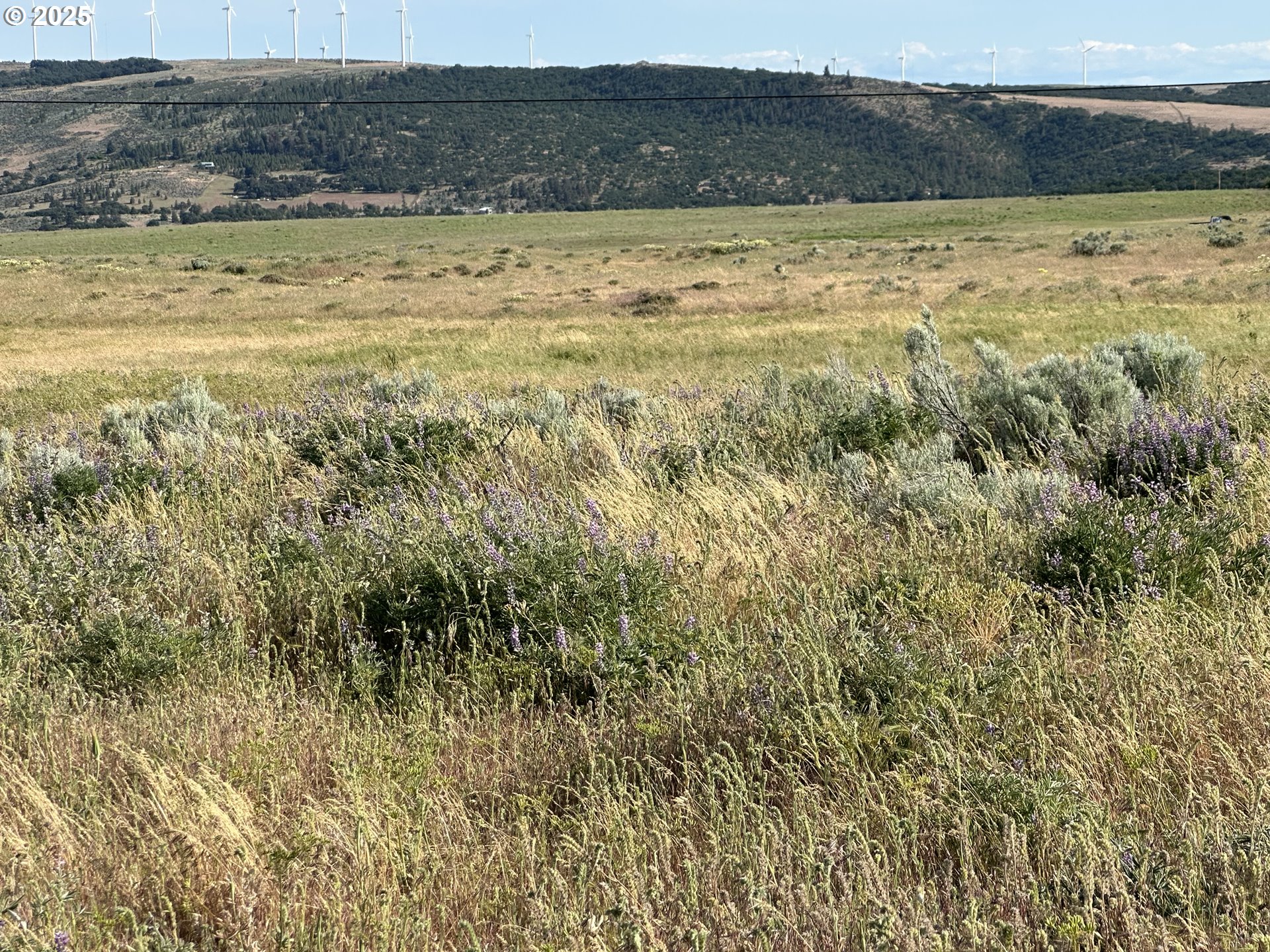 Bickleton Highway, Unit 2 Goldendale, WA 98620 - Photo 10 of 13 a view of an ocean