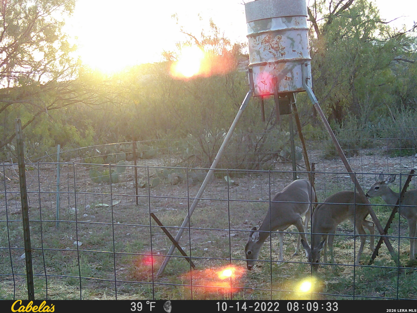 21 North High Lonesome Road Comstock, TX 78837 - Photo 20 of 20