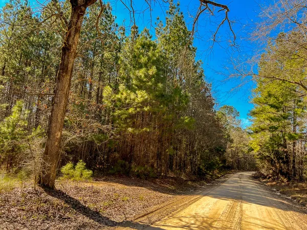 $664,000 | 6 Union Springs Road, Corrigan, TX 75939