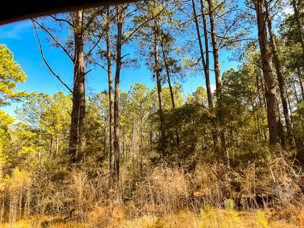 $664,000 | 6 Union Springs Road, Corrigan, TX 75939