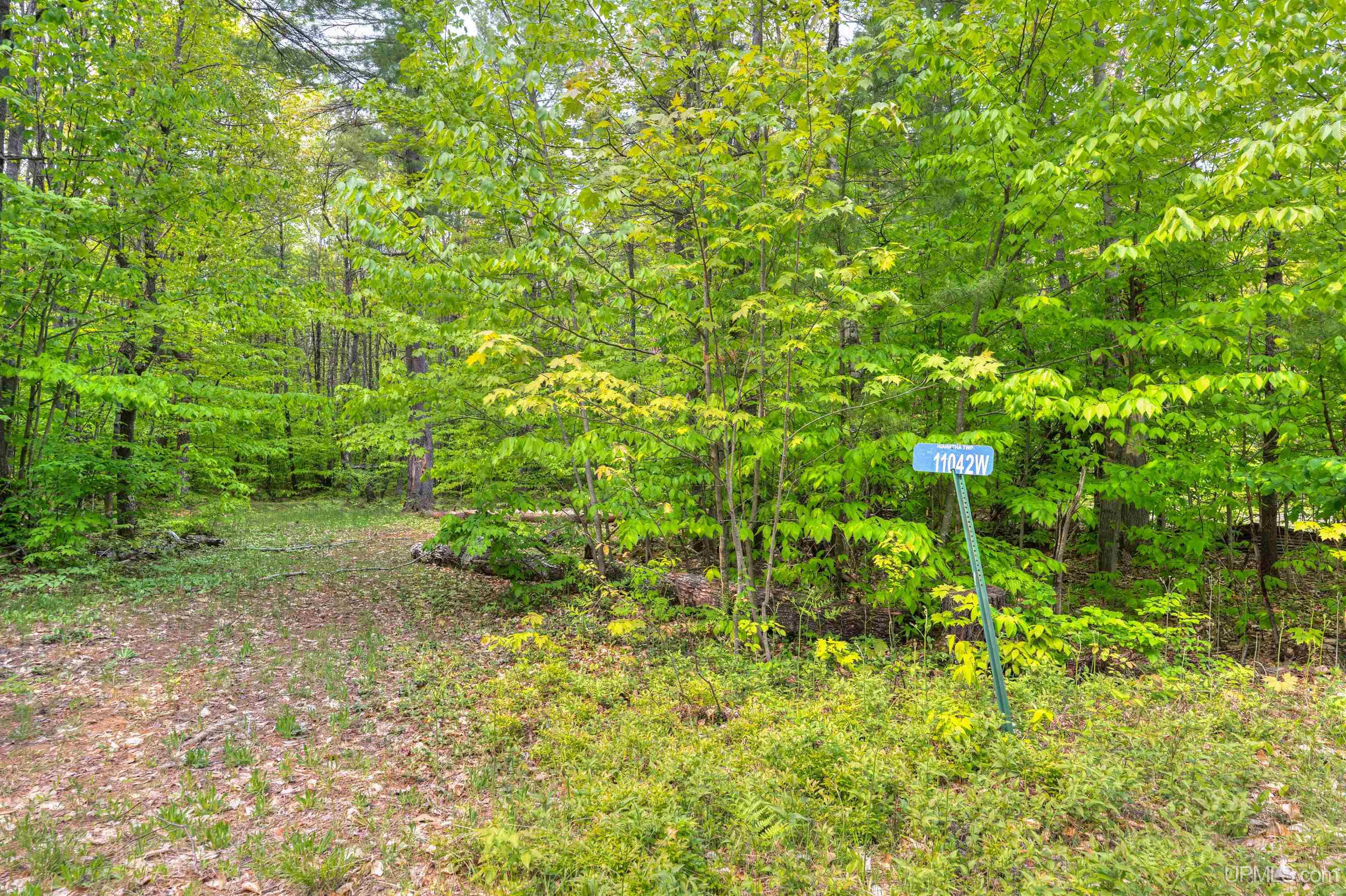 11042 West Lilly Lake Road Manistique, MI 49854 - Photo 10 of 12
