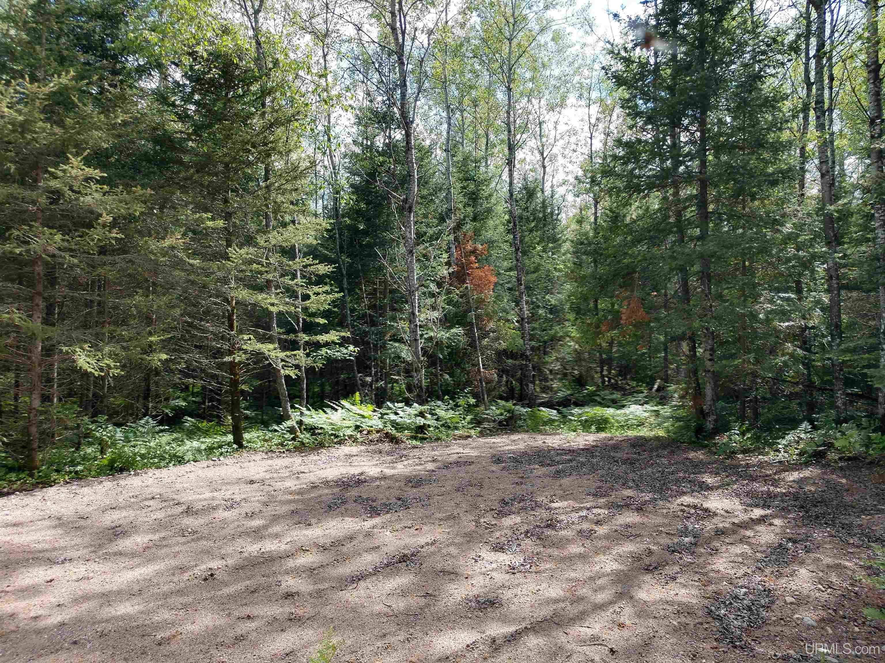 601 County Road 601 Road Republic, MI 49879 - Photo 51 of 60