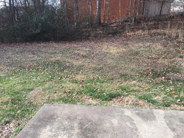 a view of backyard with green space