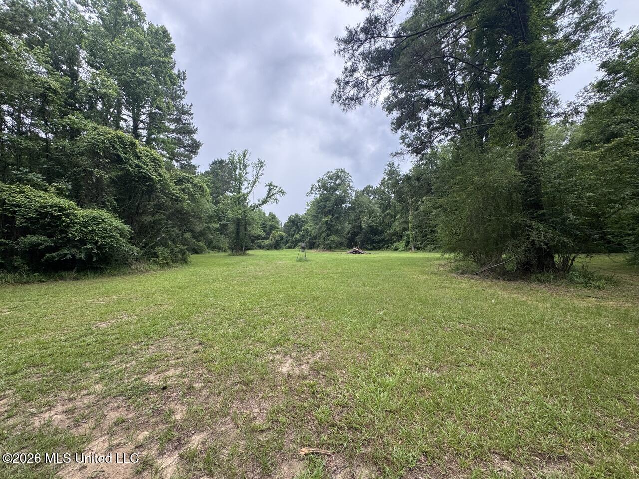 2986 Oldenburg Road Meadville, MS 39653 - Photo 31 of 44 IMG_3537 Large