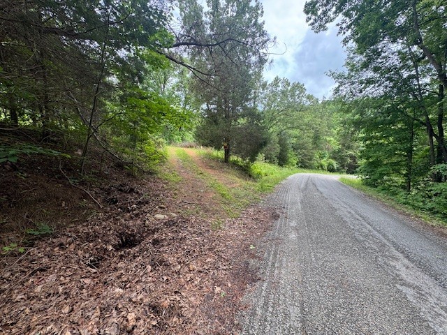a view of a dirt road with trees in the background