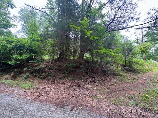 1970 Trace Creek Road Hohenwald, TN 38462 - Photo 2 of 9 a view of a yard