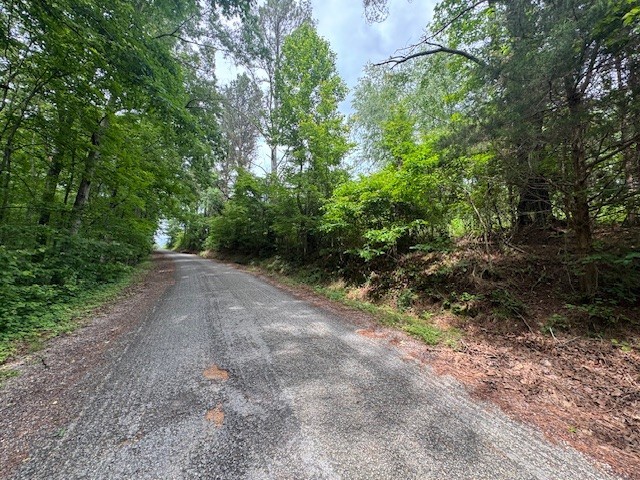 1970 Trace Creek Road Hohenwald, TN 38462 - Photo 4 of 9 a view of a forest with trees in front of it
