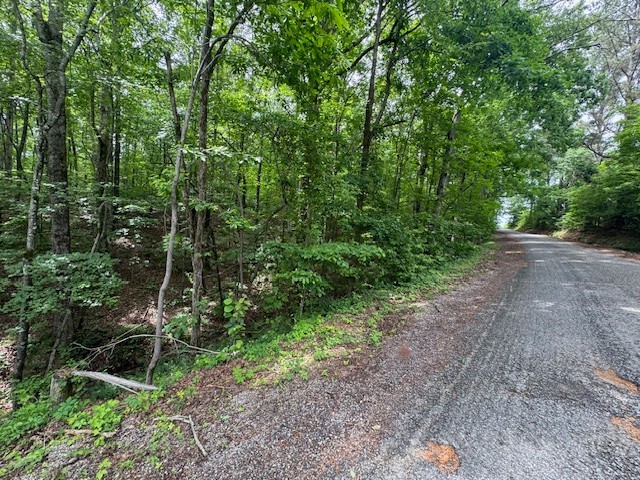 1970 Trace Creek Road Hohenwald, TN 38462 - Photo 5 of 9 a view of a forest with trees