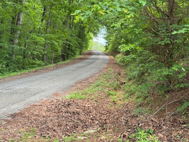 1970 Trace Creek Road Hohenwald, TN 38462 - Photo 8 of 9 a view of a yard with plants and large trees