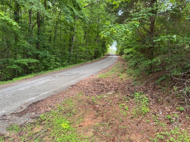 1970 Trace Creek Road Hohenwald, TN 38462 - Photo 9 of 9 a view of a yard with plants and large trees