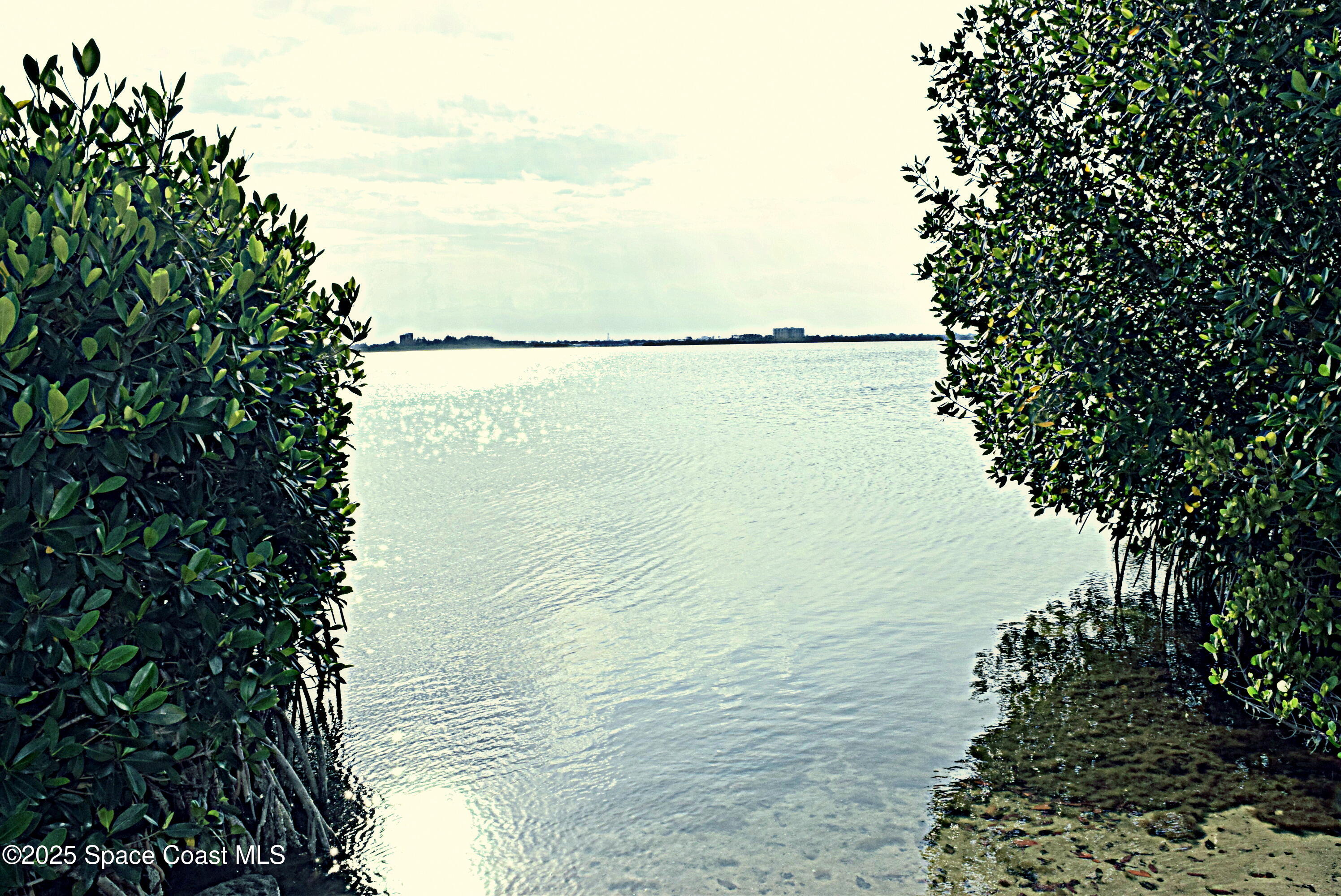 1170 Faulkingham Road Merritt Island, FL 32952 - Photo 29 of 31 a view of a lake view