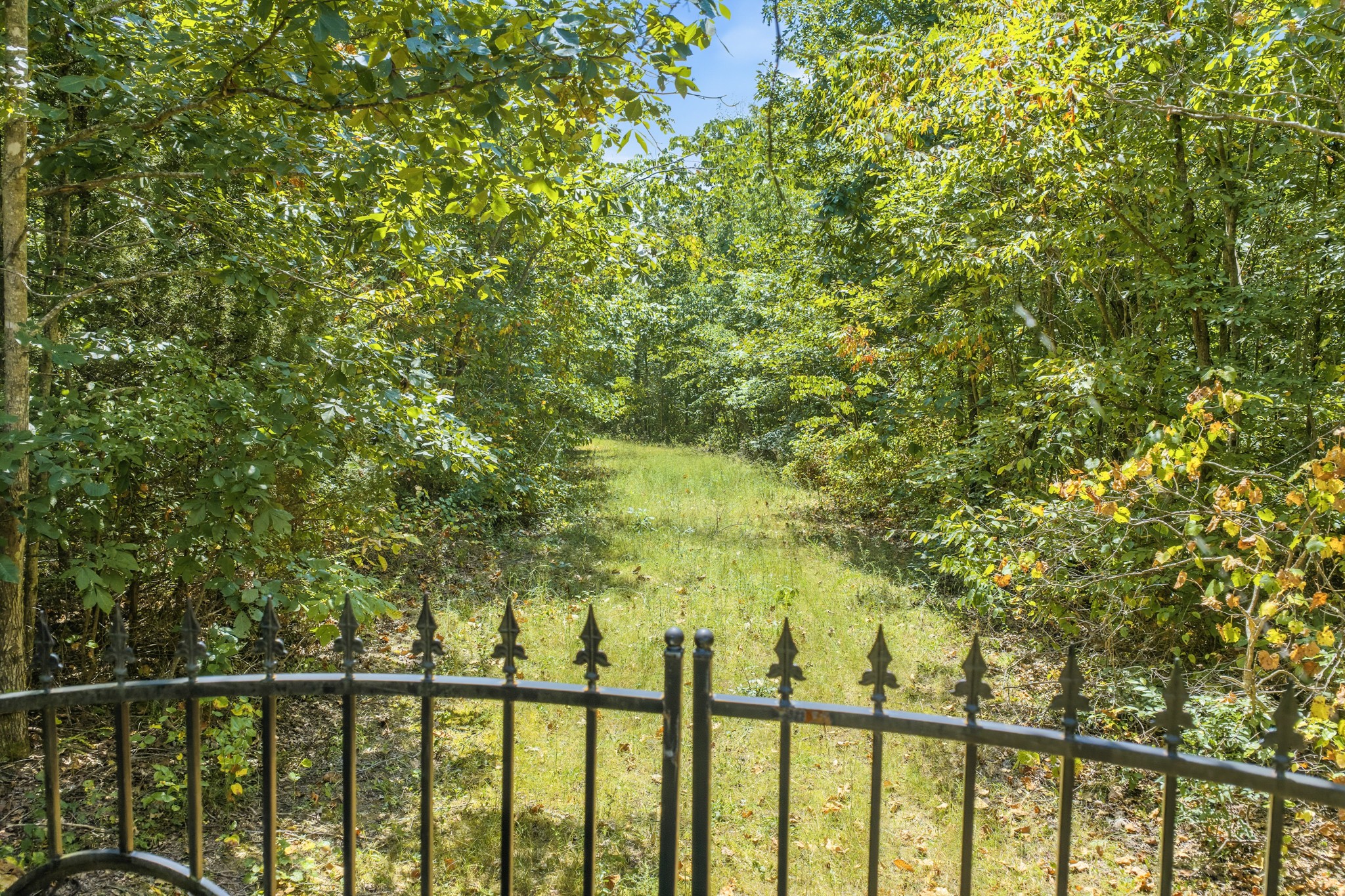 0 Scott Ridge Road Waynesboro, TN 38485 - Photo 26 of 26 Gallery Image 26