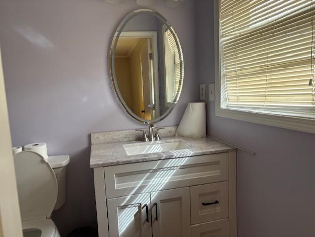 2215 Oak Hill Road Covington, GA 30016 - Photo 23 of 36 a bathroom with a sink mirror and toilet