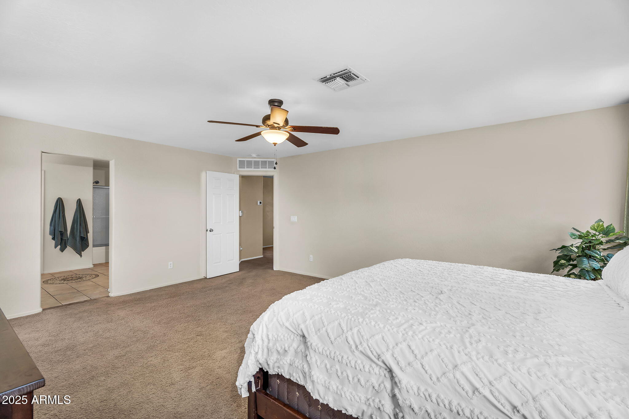 3786 South Chaparral Road Apache Junction, AZ 85119 - Photo 26 of 78 Primary bedroom