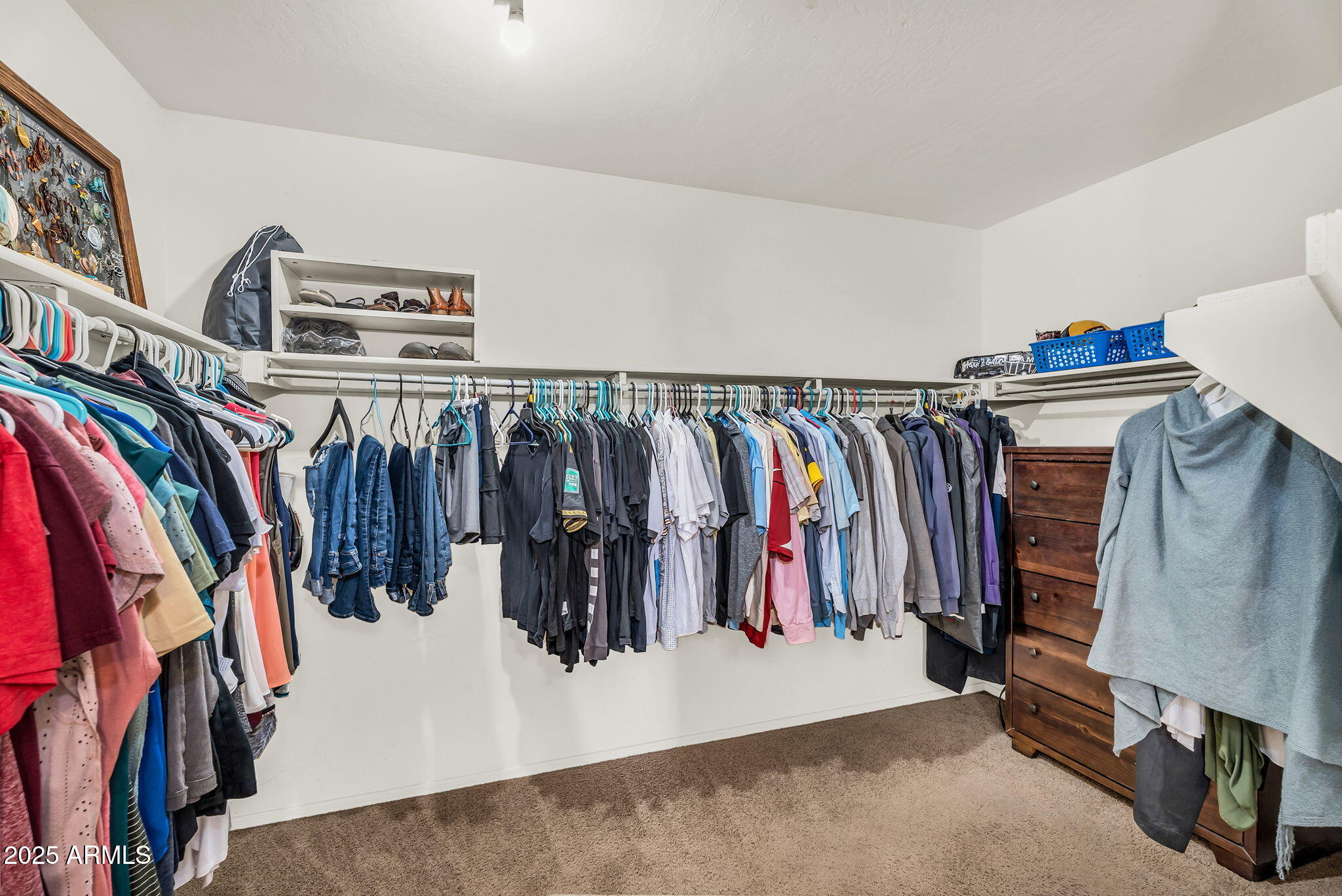 3786 South Chaparral Road Apache Junction, AZ 85119 - Photo 29 of 78 Primary walk-in closet