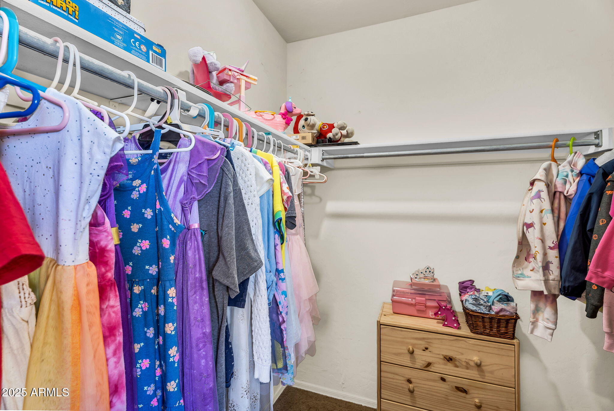 3786 South Chaparral Road Apache Junction, AZ 85119 - Photo 37 of 78 Bedroom 4 walk-in closet