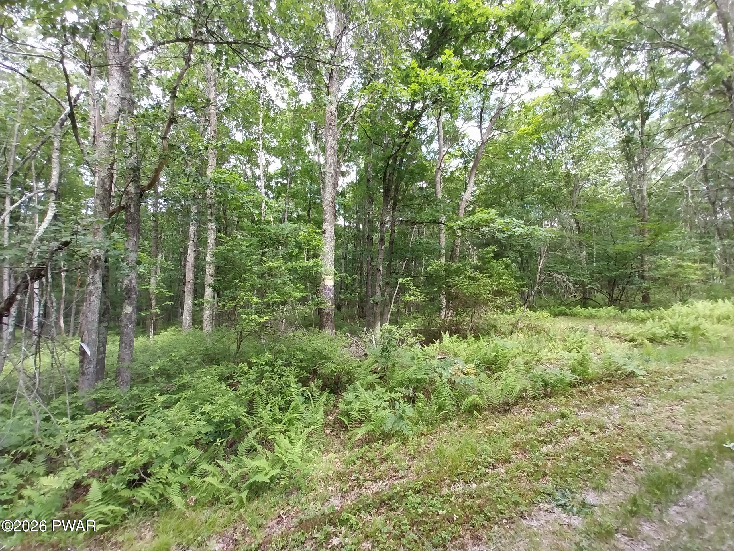 Lot 10 Whispering Oaks Road Greeley, PA 18425 - Photo 2 of 7