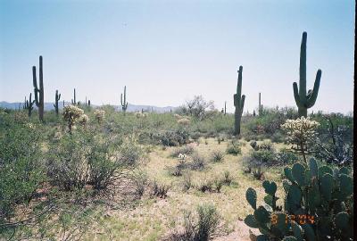 0 East Powerline Road Marana, AZ 85653 - Photo 5 of 10