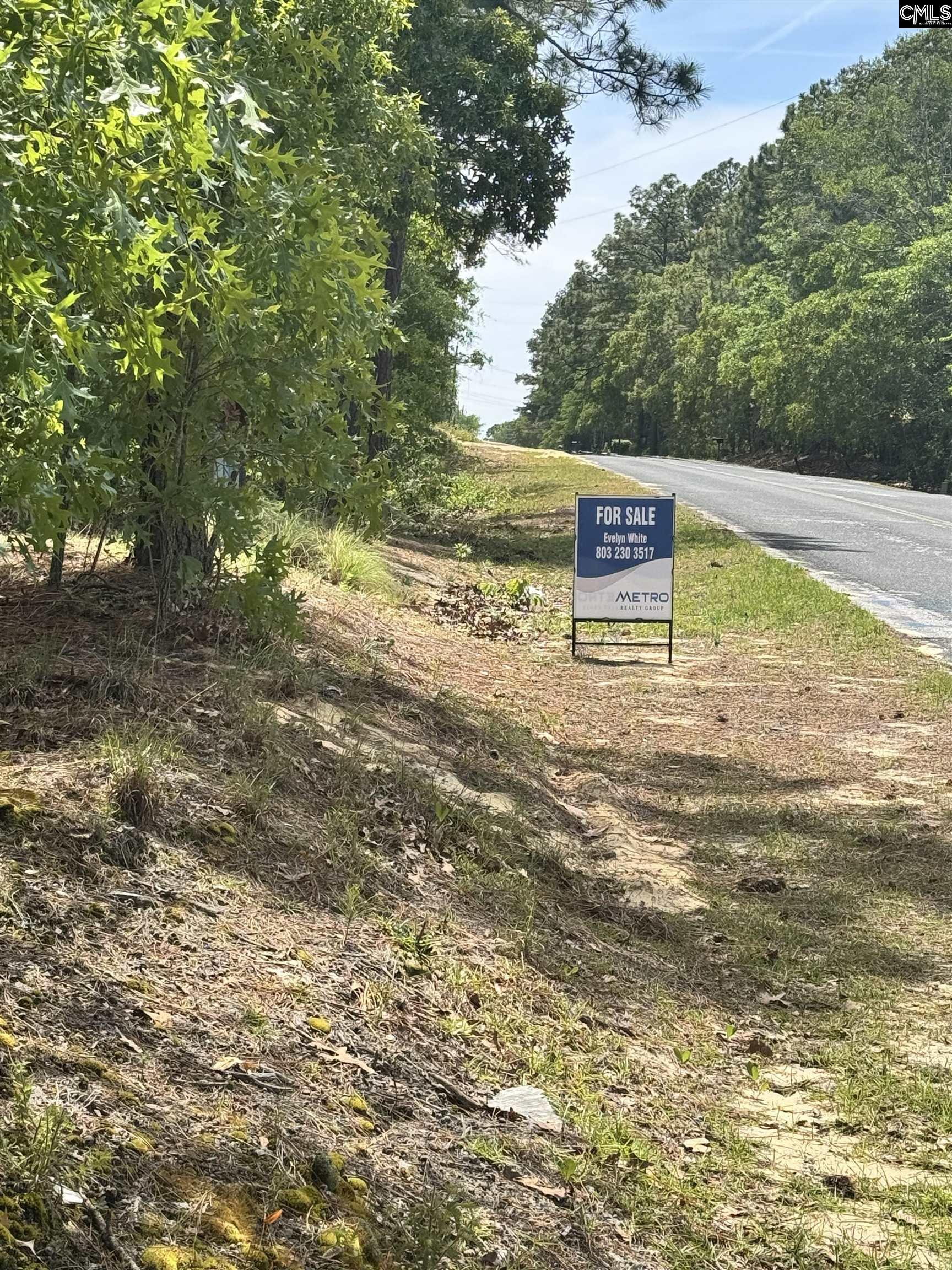 1353 Cheraw Road Cassatt, SC 29032 - Photo 2 of 3