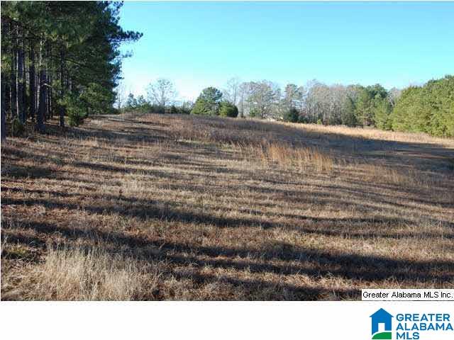 993 County Road, Unit 7 Clanton, AL 35045 - Photo 6 of 8